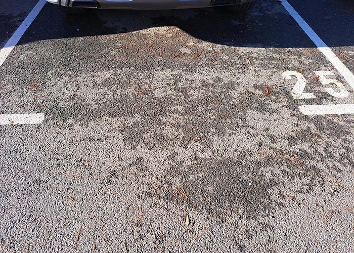 Avec Piscine A 2 Pas De La Apartment Linguizzetta