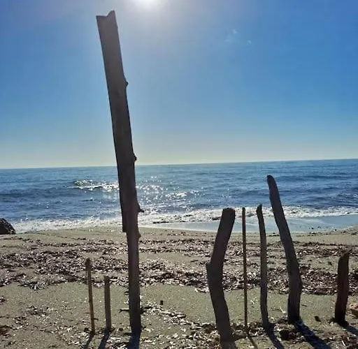 Avec Piscine A 2 Pas De La Linguizzetta